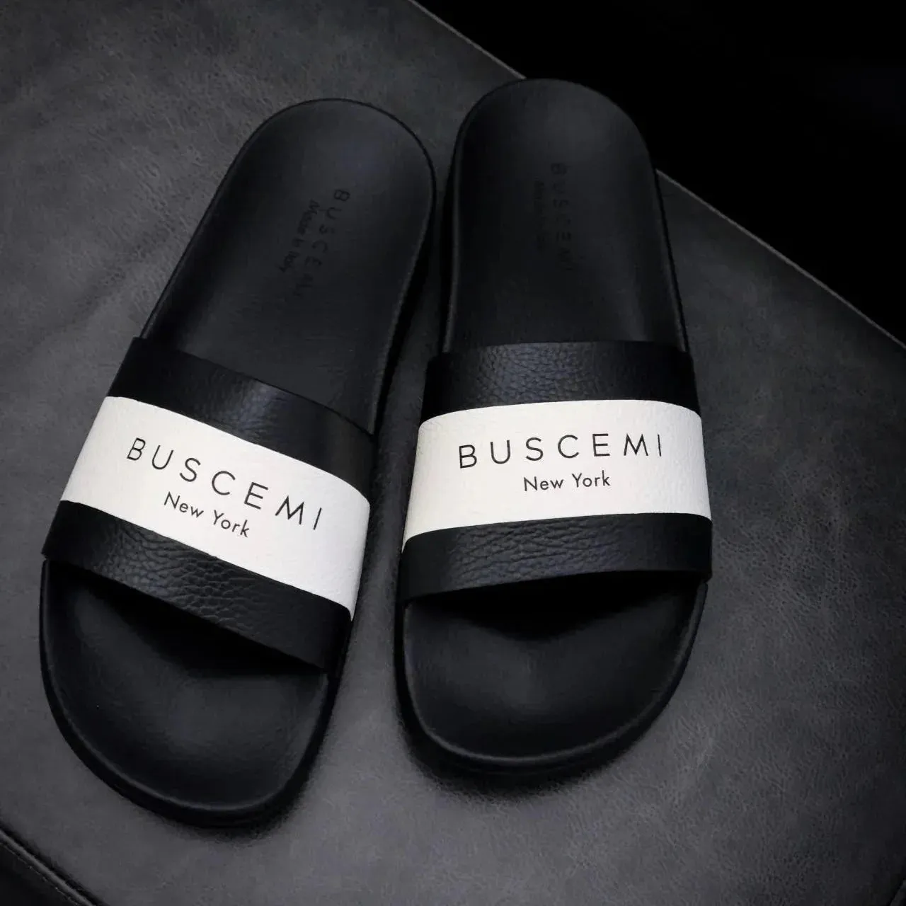 Buscemi Logo Slide Alce