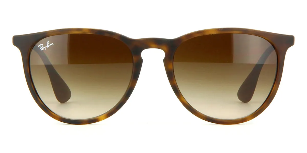 Ray-Ban Erika 4171 86513